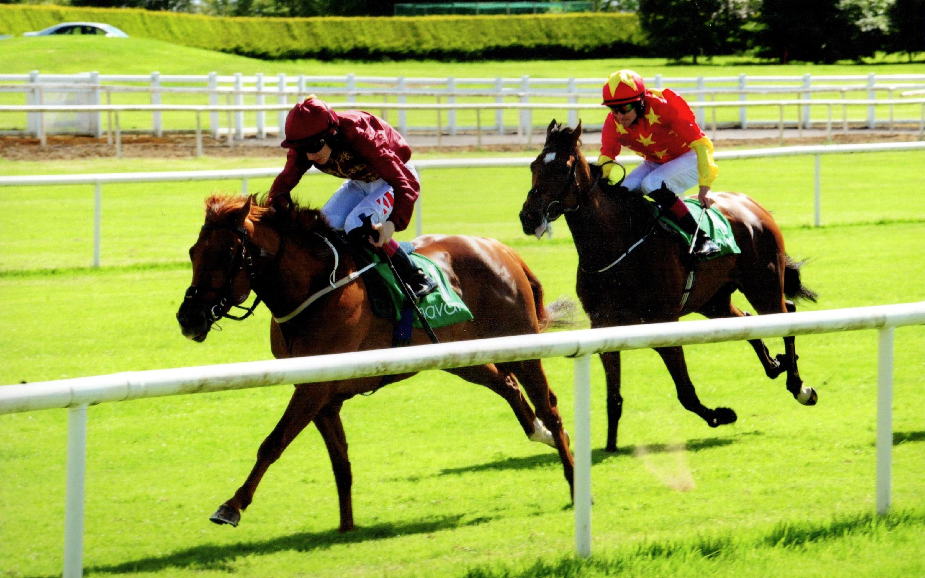 GOLD SPINNER brings up a double for the team at Navan 3rd June 2017